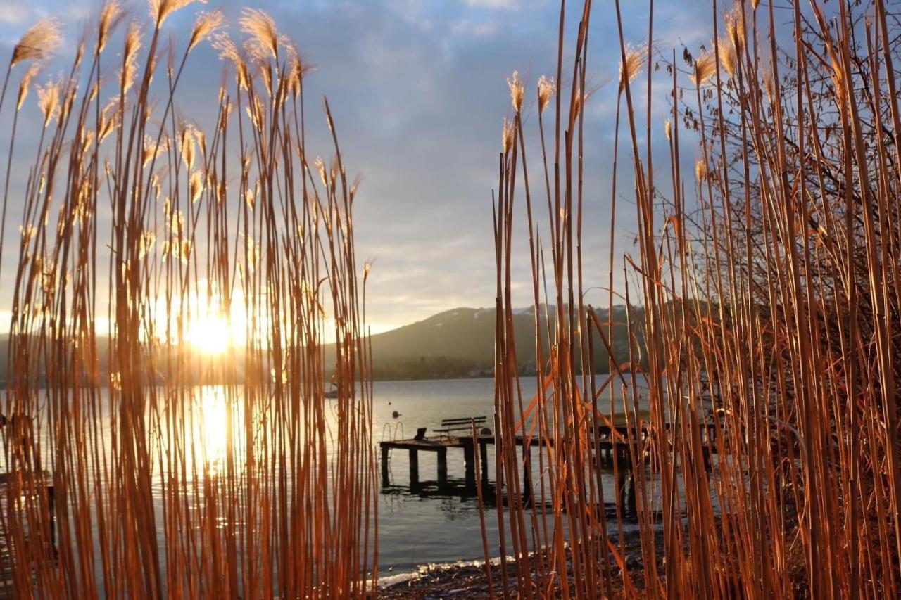 אלטמונסטר Ferienhaeuschen Am Traunsee Mit Tretboot Zur Freien Nutzung Am Badeplatz מראה חיצוני תמונה